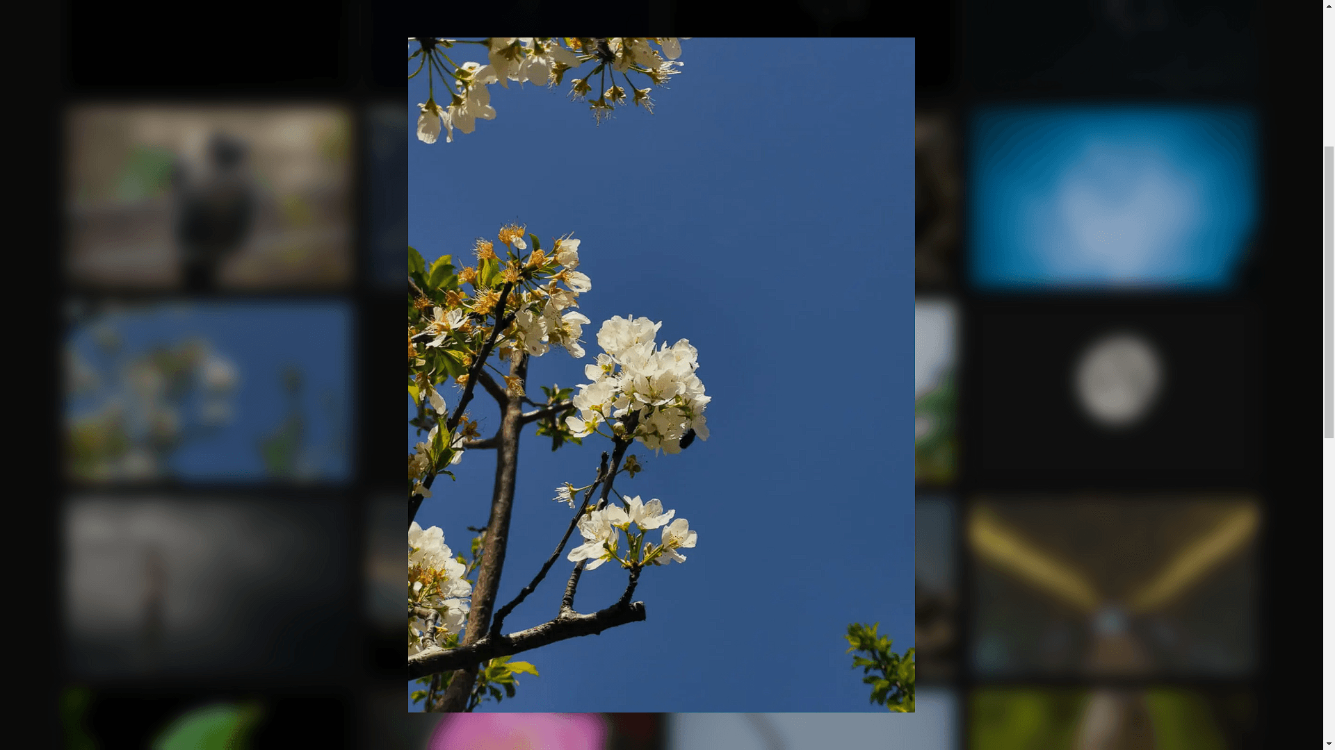 Pixel Arrays interface